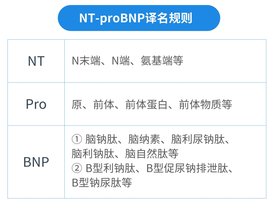 NT-proBNP有幾個(gè)中文譯名？——國(guó)賽生物第二代NT-proBNP、CK-MB試劑獲證上市