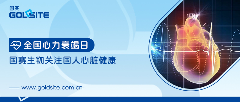 全國心力衰竭日|國賽生物關(guān)注國人心臟健康