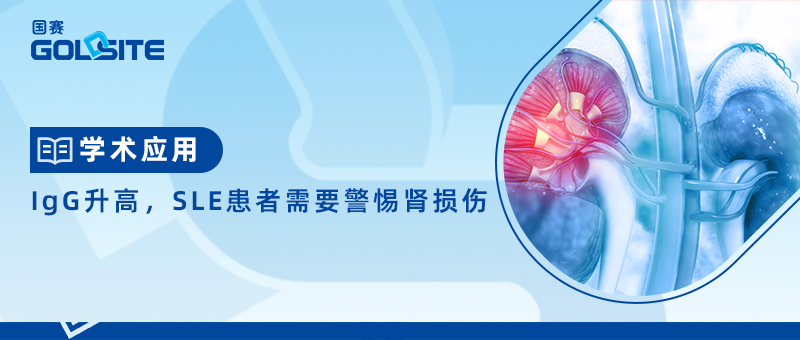 IgG升高，SLE患者需要警惕腎損傷