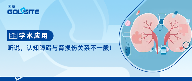聽說，認(rèn)知障礙與腎損傷關(guān)系不一般！