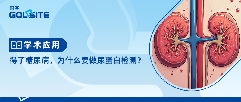 得了糖尿病，為什么要做尿蛋白檢測？