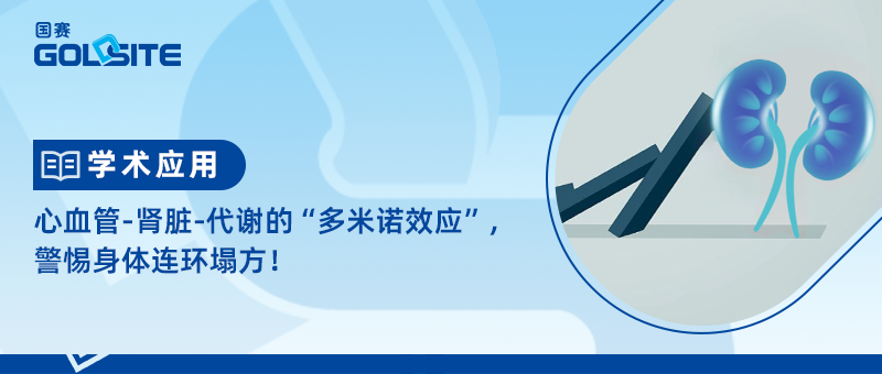 心血管-腎臟-代謝的“多米諾效應(yīng)”，警惕身體連環(huán)塌方！